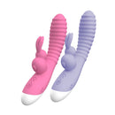 Rabbit Luxo com Controle