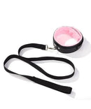 Coleira com Guia Luxo